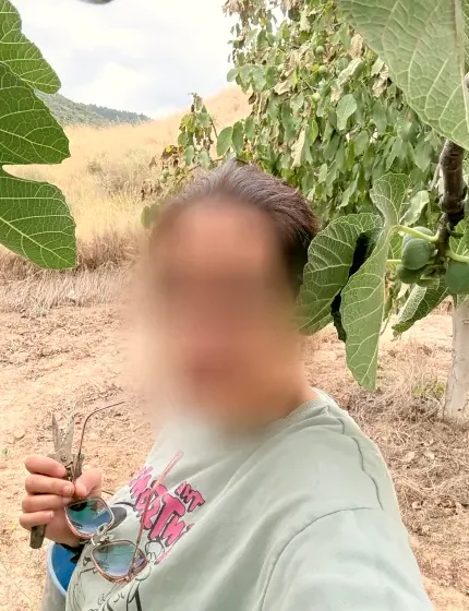 Bo, 36